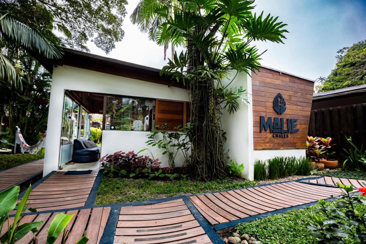 Malie Chales Ilha do Mel Ngoại thất bức ảnh